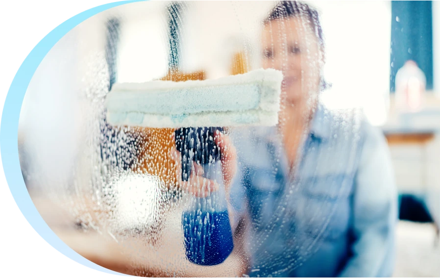 Blue Bear Window Cleaning Services